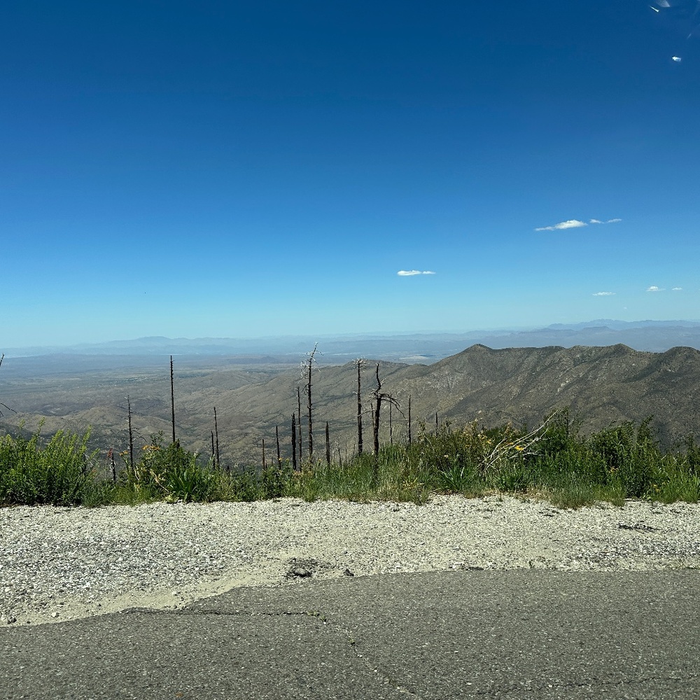 Meet your Posher, Abbey